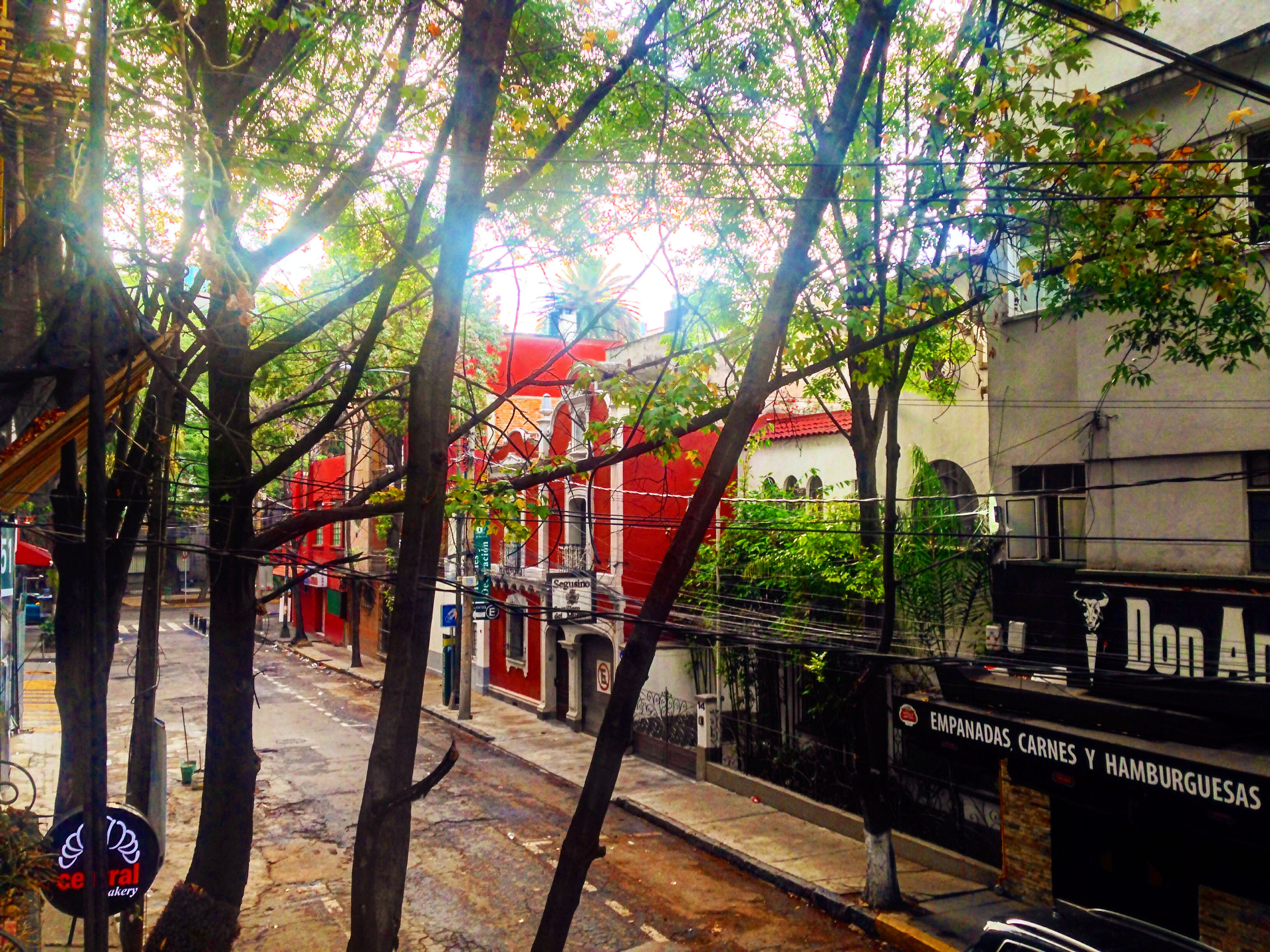 La Condesa, Mexico City, Mexico.