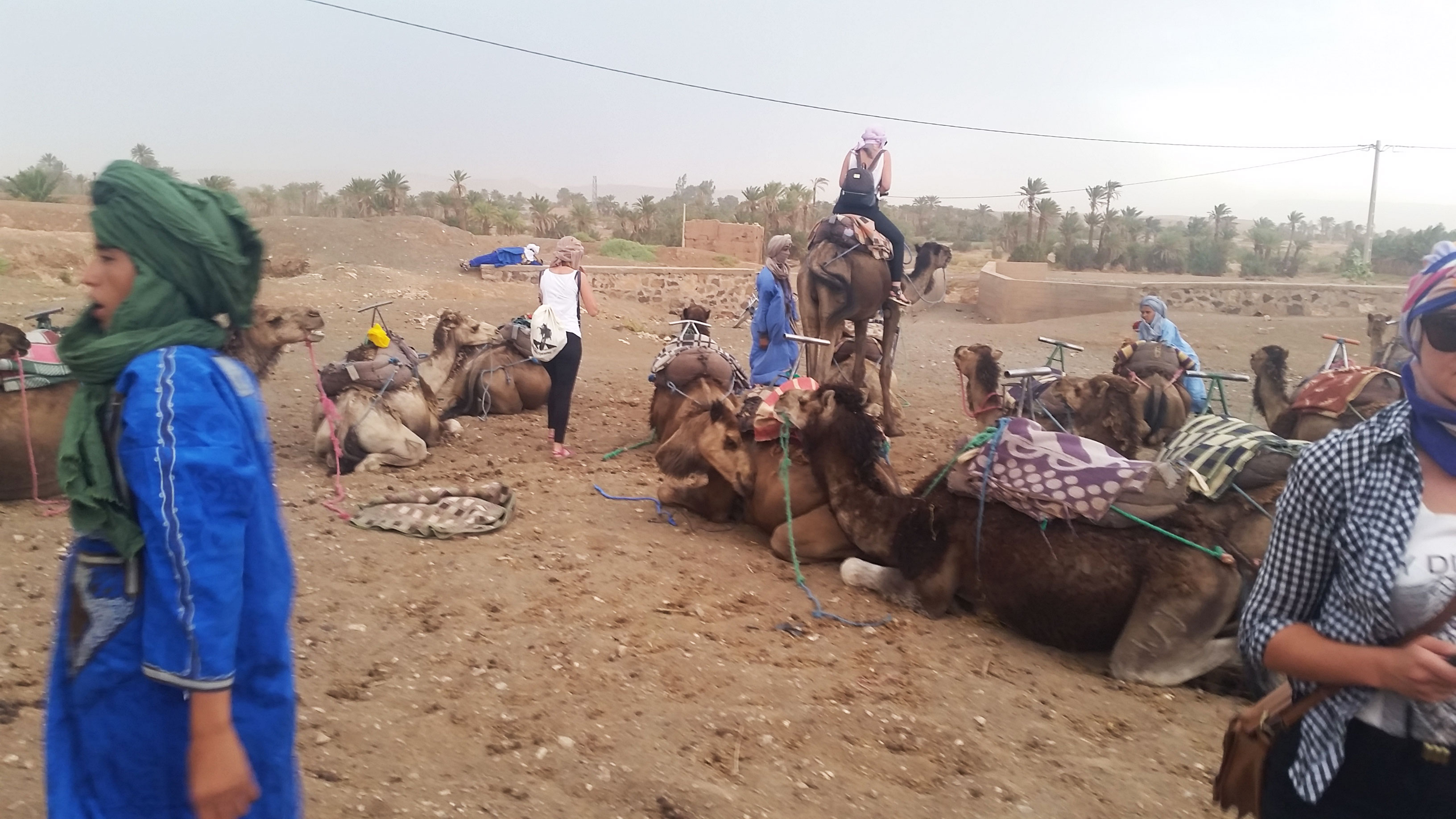 Sahara Desert, Morocco.