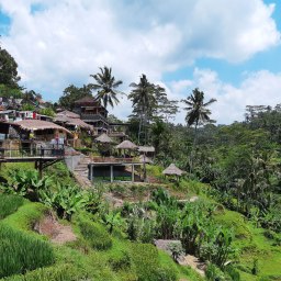 The Tranquility of Bali