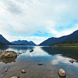 Golden Ears: the medicine needed