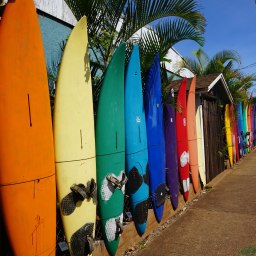 Best Things to do in Maui on a Budget