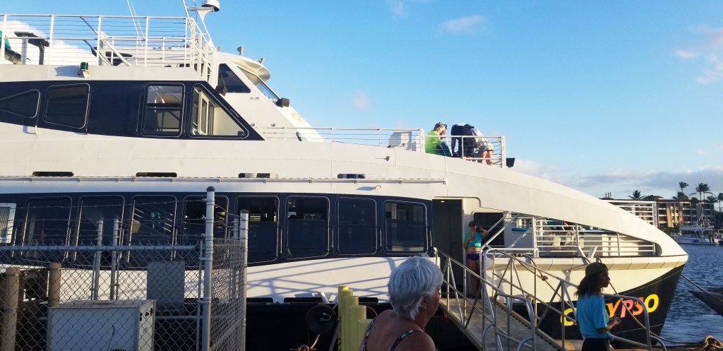 Calypso Catamaran for the Molokini and Turtle Town Tour.