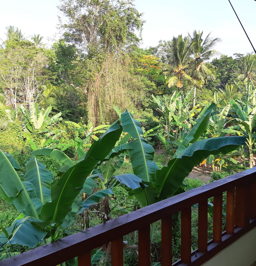 View from Airbnb living room, Bali, Indonesia.