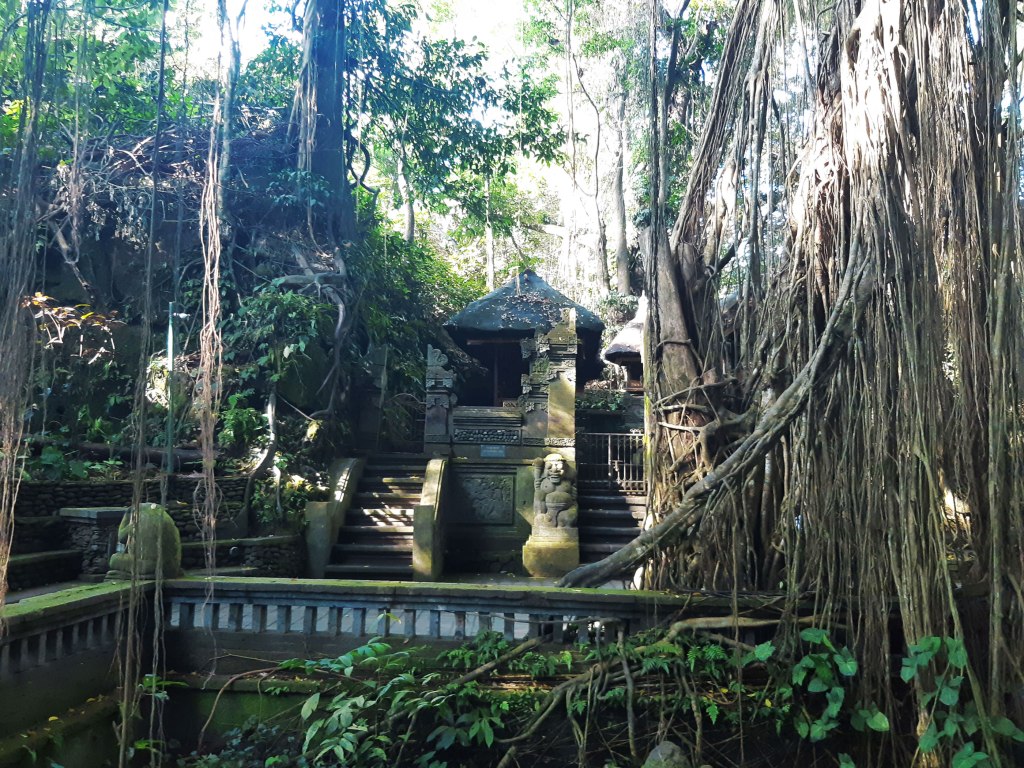The Sacred Monkey Forest Sanctuary, Bali, Indonesia.