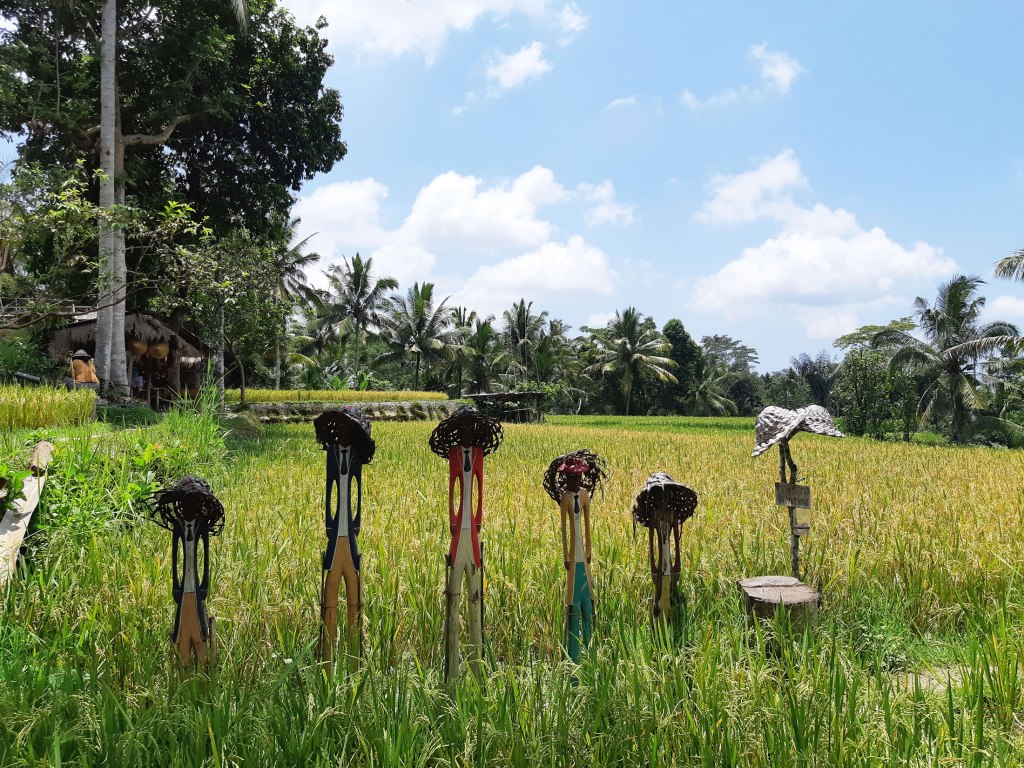 Tegallalang Rice Terrace, Bali, Indonesia.