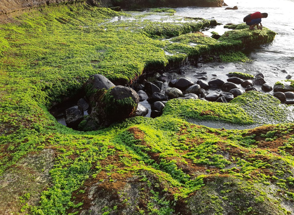 Uluwatu Temple coast, Bali, Indonesia.