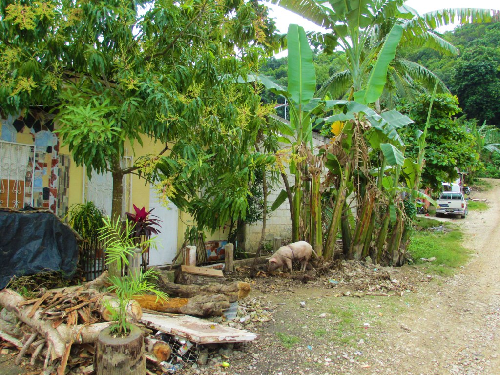 Flores mainland, Guatemala.
