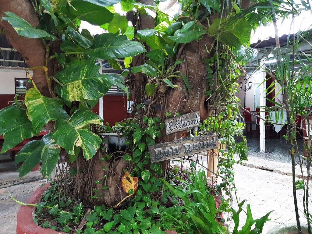 Don David Restaurant, Bauta, Cuba.