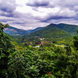 On the Road with Armondo: Las Terrazas in a day