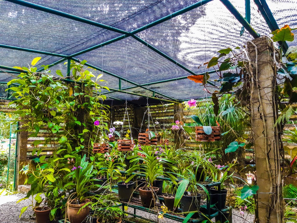 Soroa Botanical Garden, Soroa, Cuba.