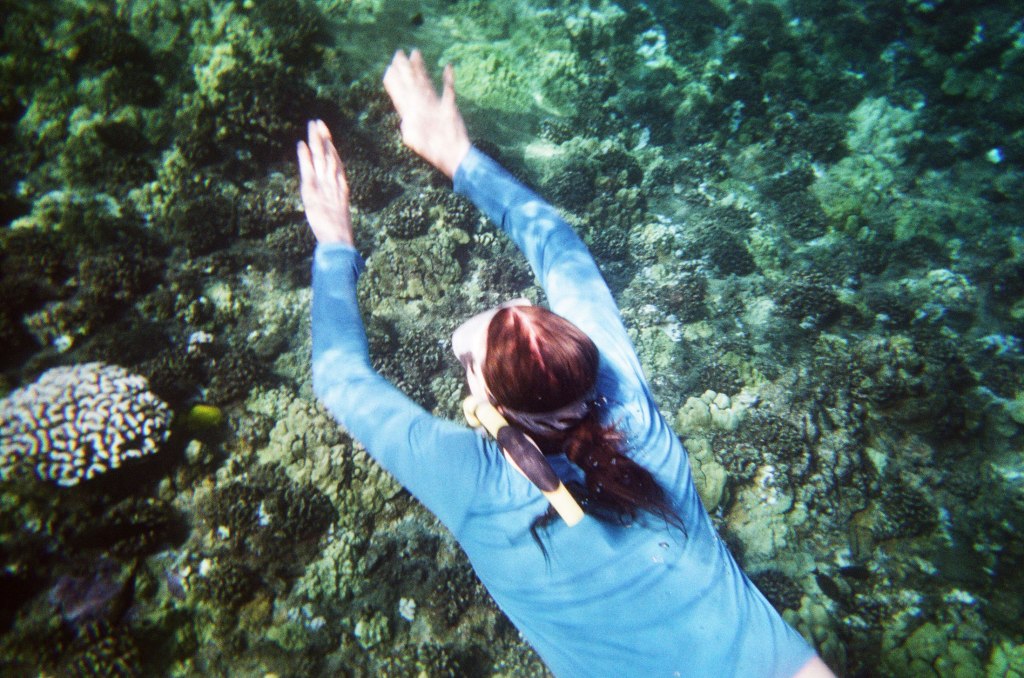 Snorkeling at Molokini Crater, Maui, Hawaii.