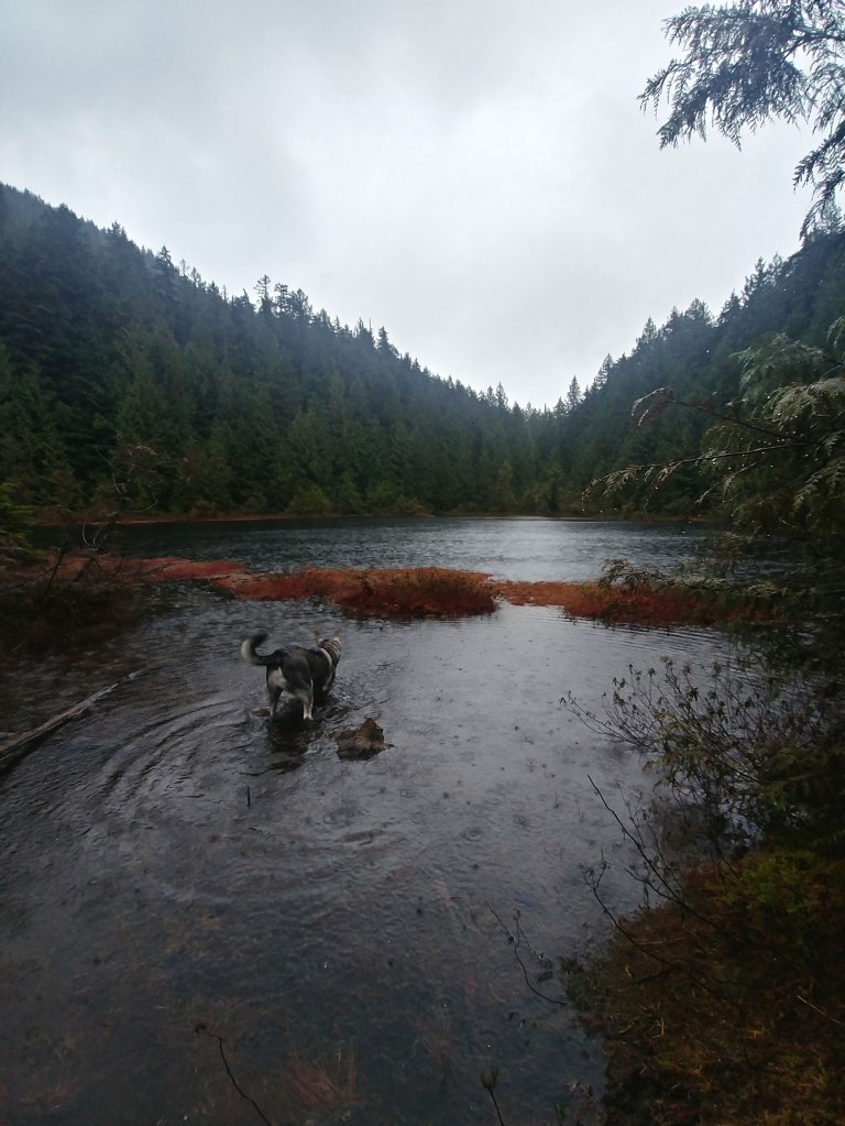 Golden Ears, BC, Canada.