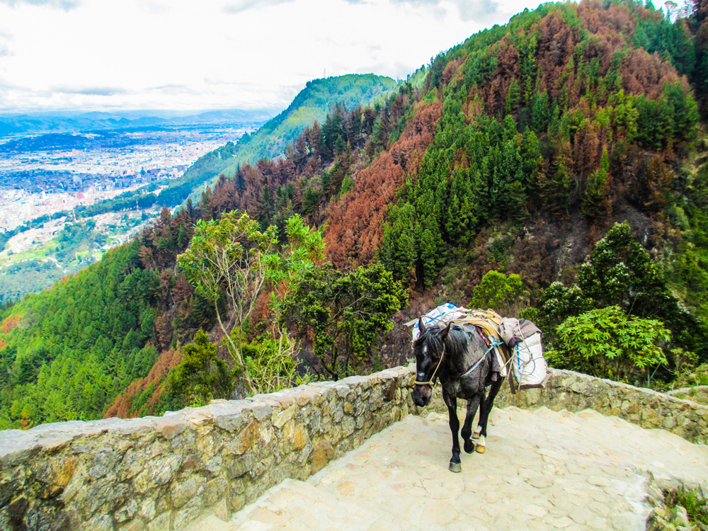 Hiking Monserrate Mountain, Colombia.