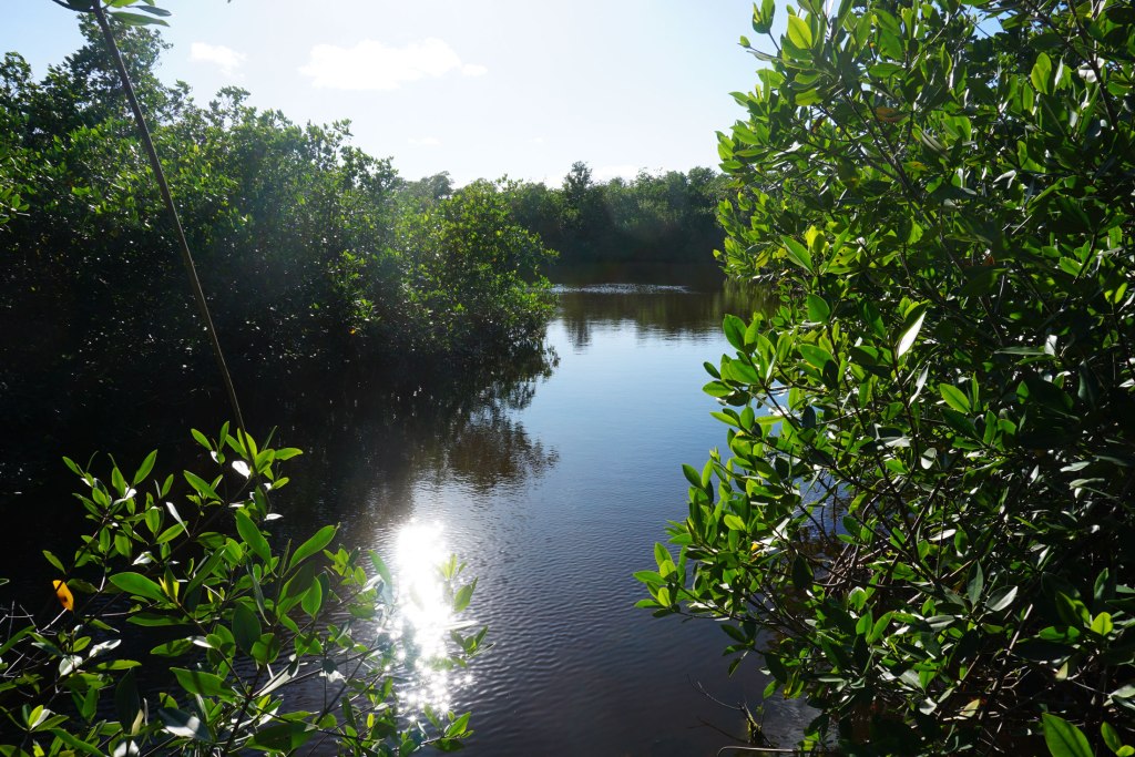 Reserva Ecológica Varahicacos, Varadero, Cuba.