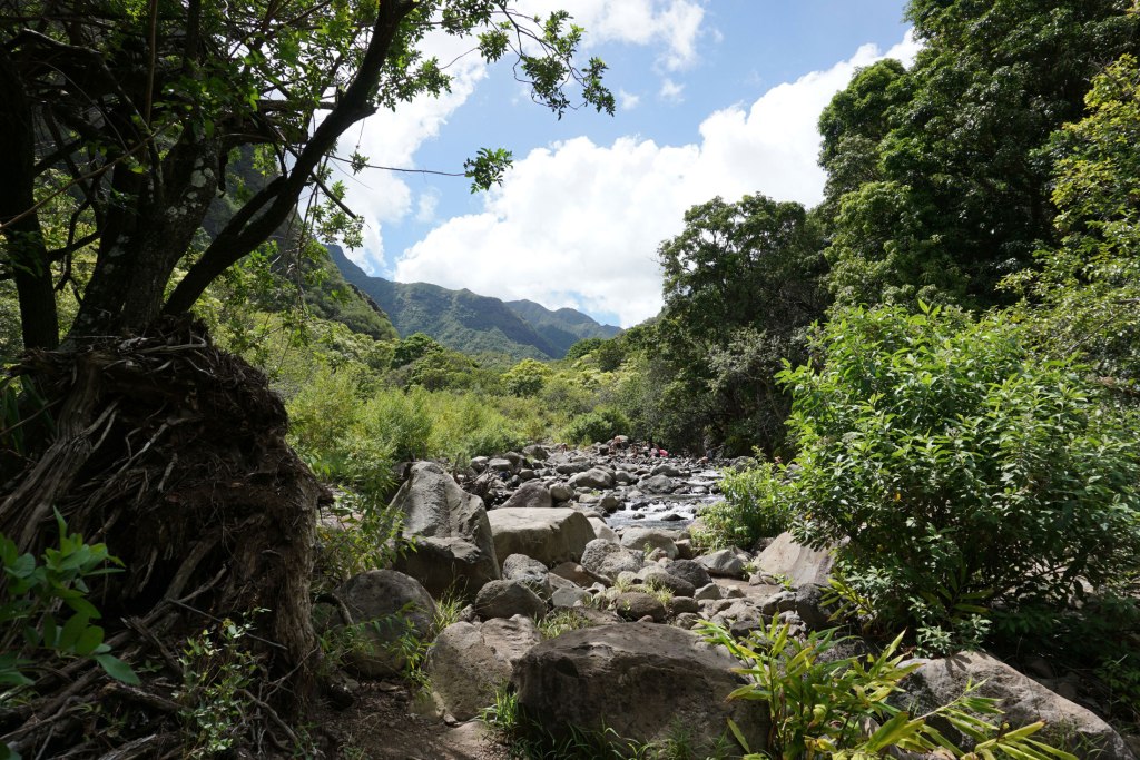 Iao Valley State Park, northwest of Maui, Hawaii.