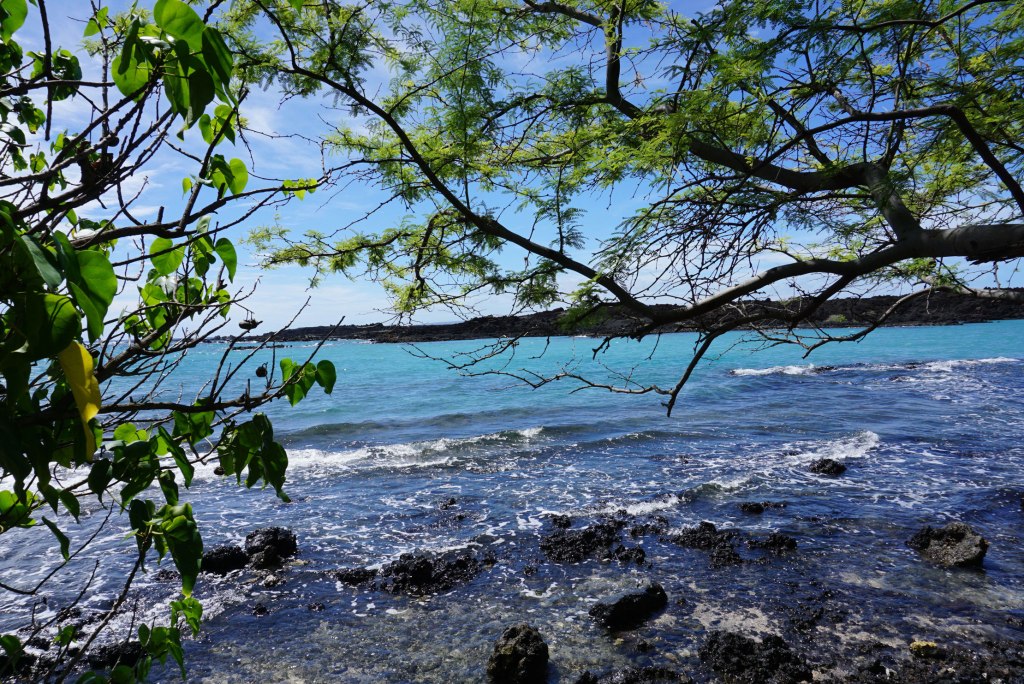 La Perouse Bay, Lava Fields, south of Maui, Hawaii.