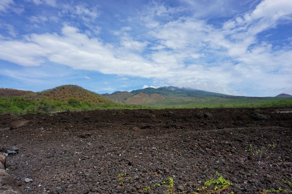 The Lava Fields, south of Maui, Hawaii.