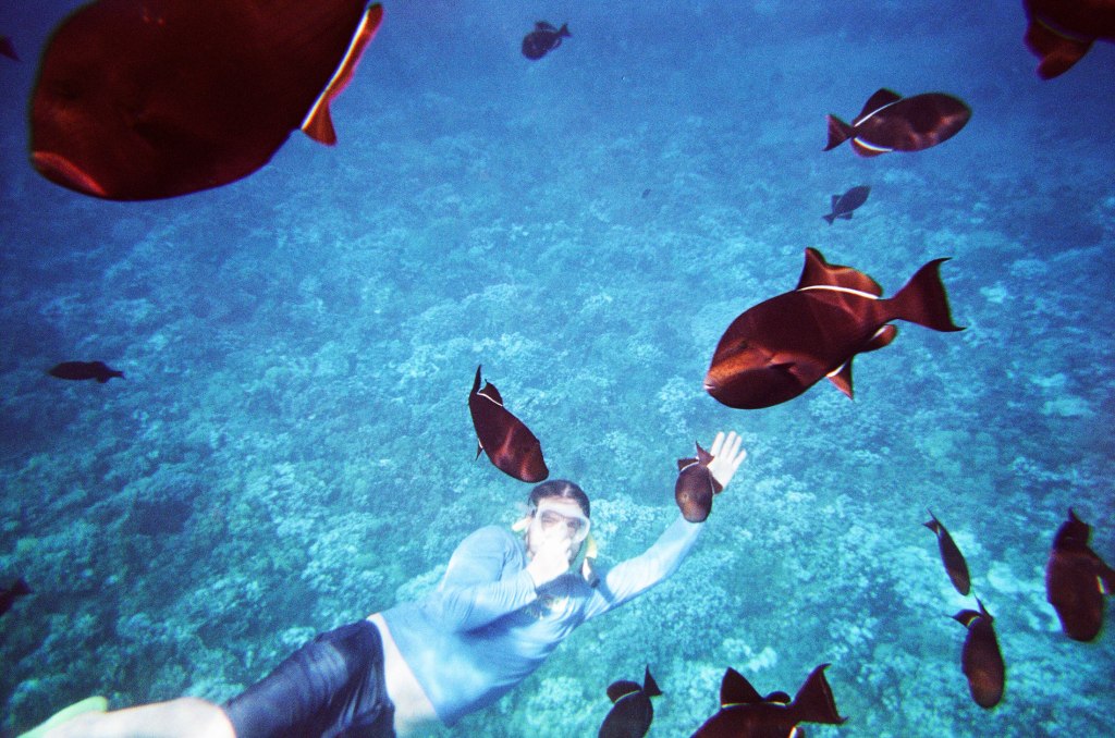 Snorkeling at Molokini Crater, Maui, Hawaii.