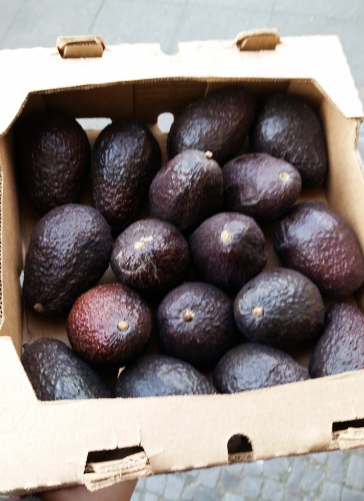Avocados from the Turkish Market in Kreuzberg, Berlin, Germany.