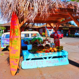 Towns to Visit in Maui