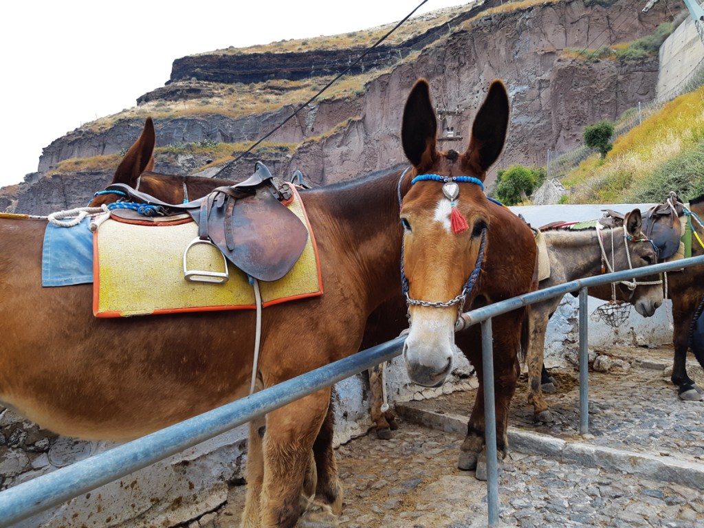 Santorini, Thera, Greece, Europe Travel.
