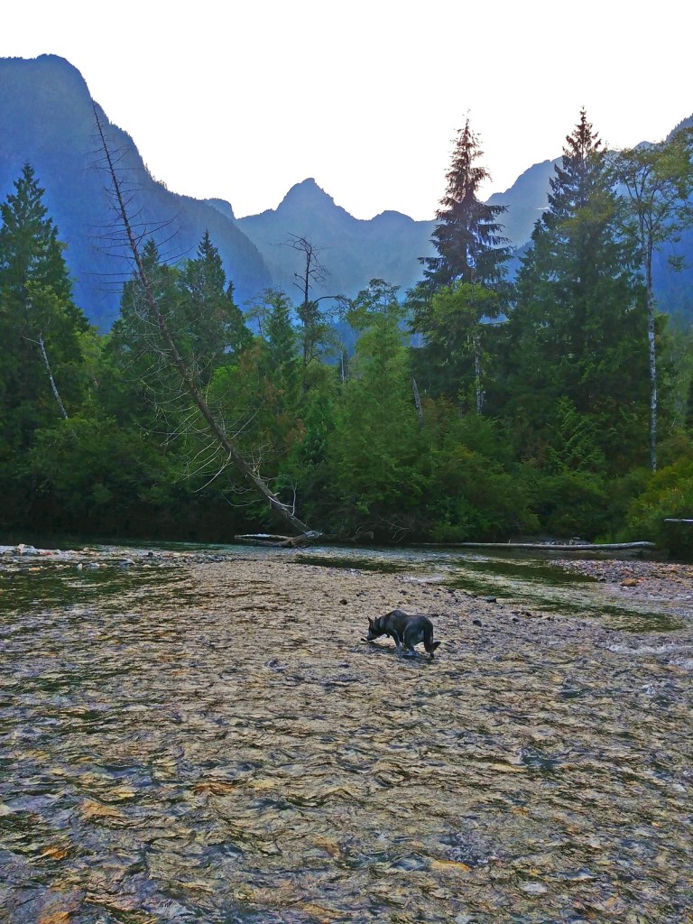 Golden Ears, BC, Canada.