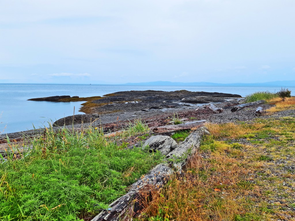 Galleon Beach, Hornby Island, BC, travel.