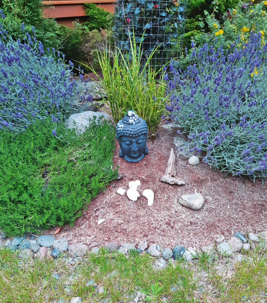 Mt. Geoffrey B&B, Hornby Island, BC travel.