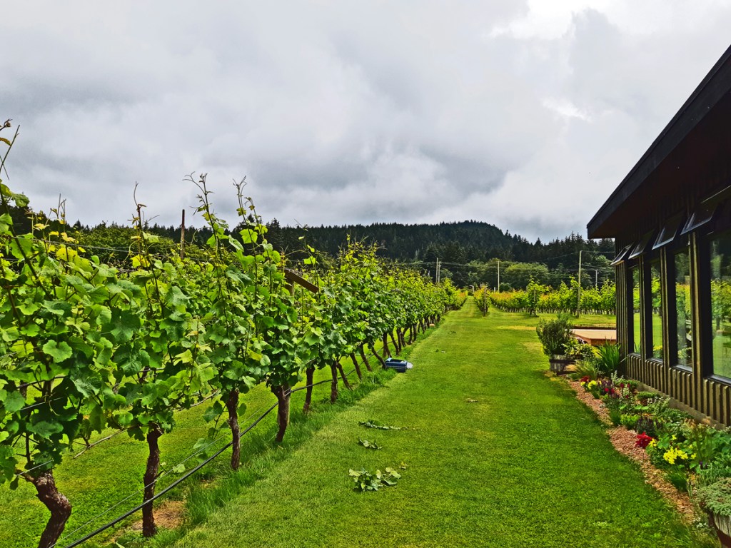 Isla de Lerena Vineyard, Hornby Island, BC, travel.