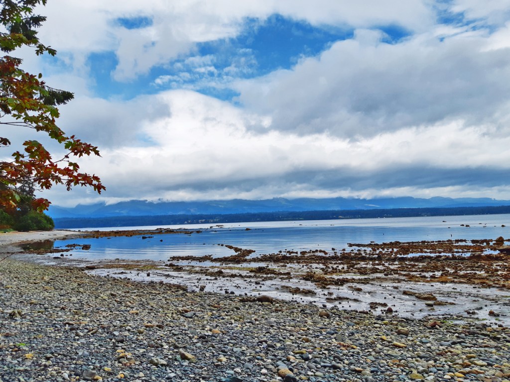 Phipps Point, Hornby Island, BC, travel.