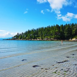 Exploring Hornby Island