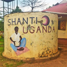 Travel and Volunteer: the realities of volunteering abroad at nonprofits